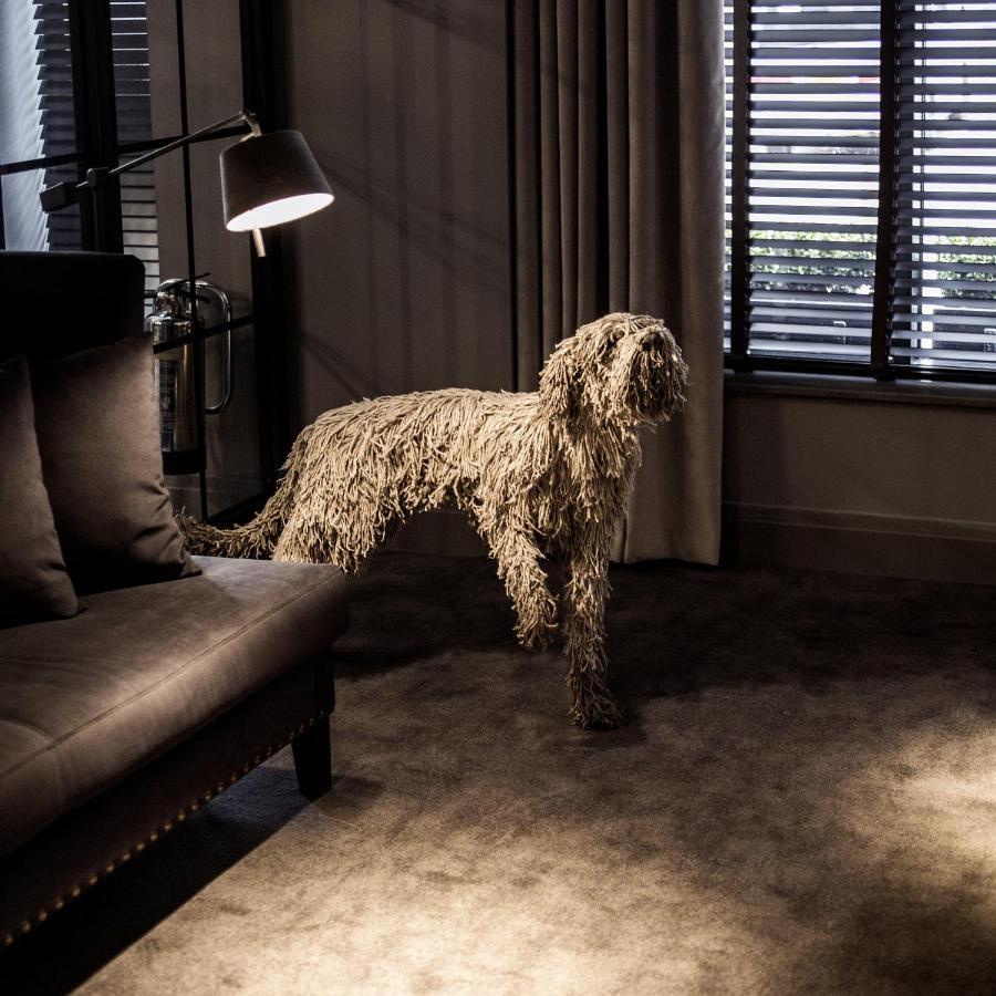 Dakota Glasgow Bagian luar foto